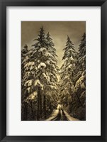 Wagner Creek Snow Fine Art Print