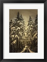 Wagner Creek Snow Fine Art Print