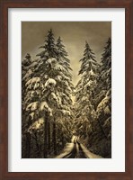 Wagner Creek Snow Fine Art Print
