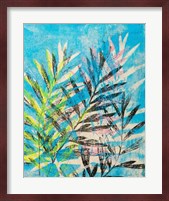 Silk Oak's Reach Fine Art Print