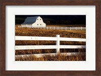 White Bitterroot Barn Fine Art Print