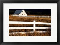 White Bitterroot Barn Fine Art Print