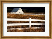 White Bitterroot Barn Fine Art Print