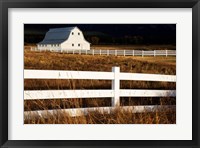 White Bitterroot Barn Fine Art Print