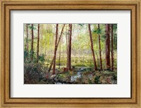Forest Edge Fine Art Print