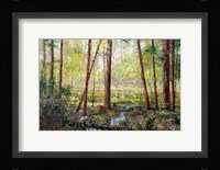 Forest Edge Fine Art Print