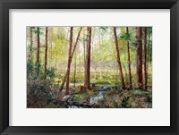 Forest Edge Fine Art Print