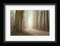 Focus on What You Want Fine Art Print