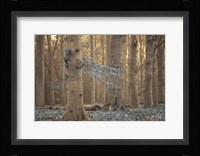 Winter Blues Fine Art Print