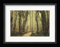 The Bridge Fine Art Print