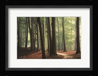 In the Curve Fine Art Print