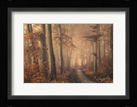 Brown Beauty Fine Art Print