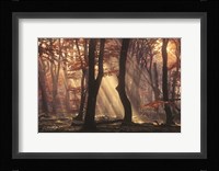 It's Raining Sunrays Fine Art Print