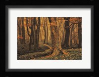 Sweet Dreams Fine Art Print