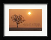 Broken Fine Art Print