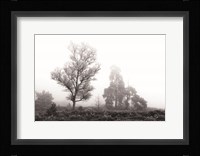 Less is More Fine Art Print