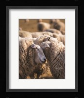 Love Will Conquer All Fine Art Print