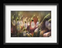 Snowdrops Fine Art Print