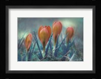Different Kind of Spring Fine Art Print