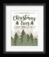 Farm Fresh Christmas Trees Fine Art Print