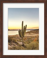 Desert Cactus Sunset Fine Art Print