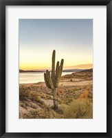 Desert Cactus Sunset Fine Art Print