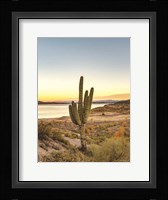 Desert Cactus Sunset Fine Art Print