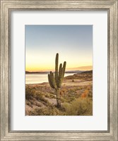 Desert Cactus Sunset Fine Art Print