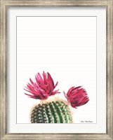 Flowered Cactus Fine Art Print
