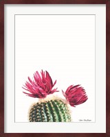 Flowered Cactus Fine Art Print