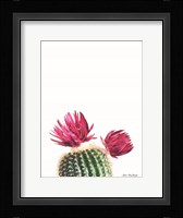Flowered Cactus Fine Art Print