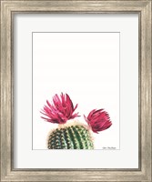 Flowered Cactus Fine Art Print