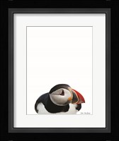 Artic Puffin Fine Art Print