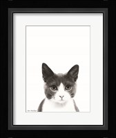 Watercolor Cat Fine Art Print