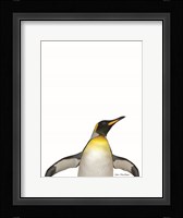 Emperor Penguin Fine Art Print