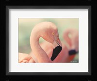 Pink Flamingo Fine Art Print
