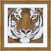 Tiger Gaze Fine Art Print
