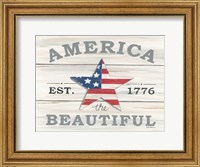 America the Beautiful Star Fine Art Print