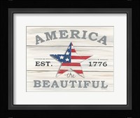 America the Beautiful Star Fine Art Print