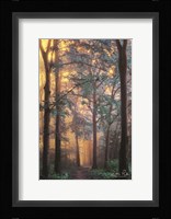 Wonderland Fine Art Print