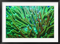 Day Fluorescing Fine Art Print