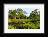 Lango Bai Odzala-Kokoua National Park Congo Fine Art Print
