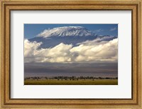 Amboseli National Park, Kenya Fine Art Print
