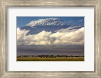 Amboseli National Park, Kenya Fine Art Print