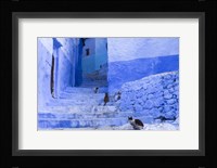 Cats in an Alley, Chefchaouen, Morocco Fine Art Print