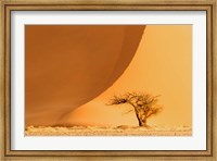 Namib-Naukluft National Park, Namibia Fine Art Print