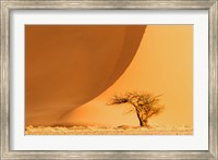 Namib-Naukluft National Park, Namibia Fine Art Print