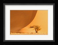 Namib-Naukluft National Park, Namibia Fine Art Print