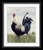 Big Bad Billy Fine Art Print