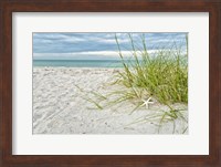 Star Fish and Sea Oats Fine Art Print